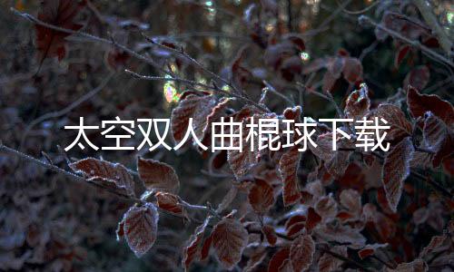 太空双人曲棍球下载