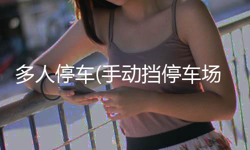 多人停车(手动挡停车场2024最新版本)