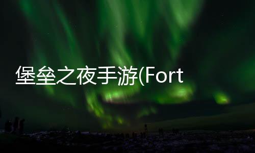 堡垒之夜手游(Fortnite)