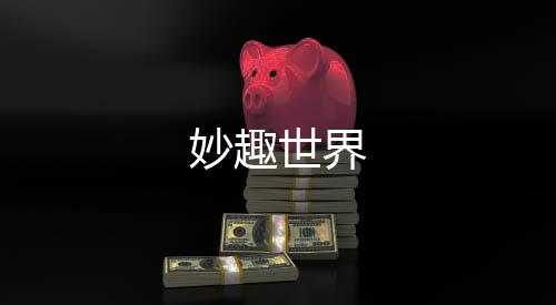 妙趣世界