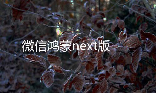 微信鸿蒙next版