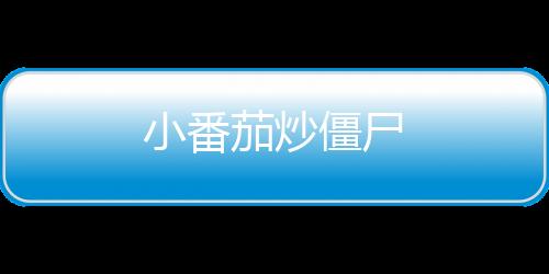 小番茄炒僵尸