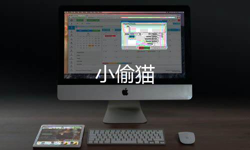 小偷猫