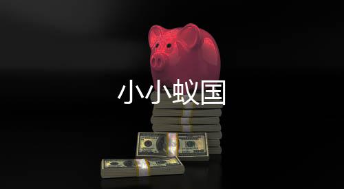 小小蚁国