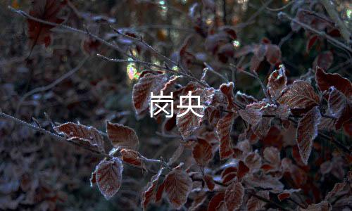 岗央