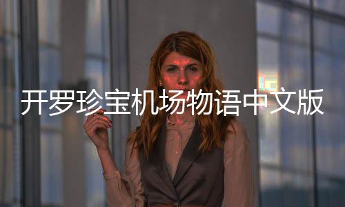 开罗珍宝机场物语中文版