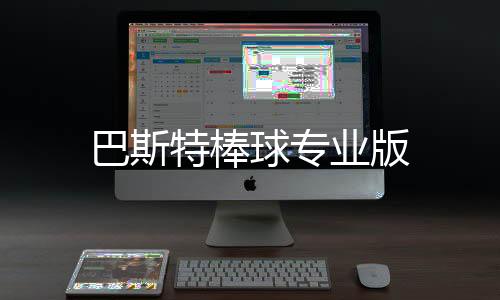巴斯特棒球专业版