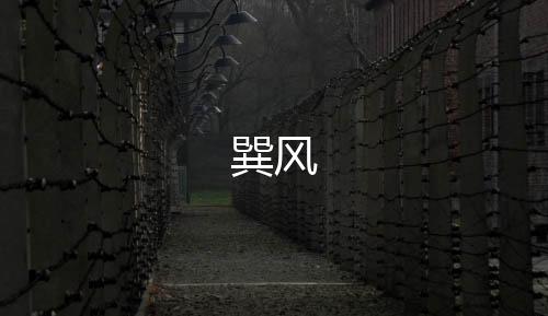 巽风