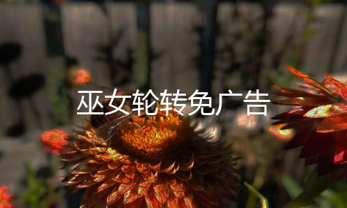 巫女轮转免广告