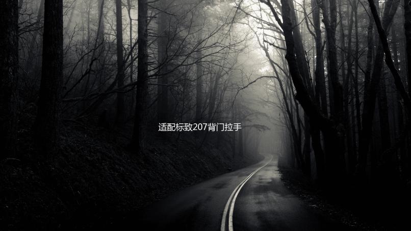 适配标致207背门拉手 标志206汽车后备箱拉手背门驱动器电机配件