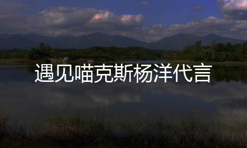 遇见喵克斯杨洋代言