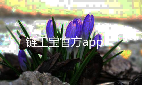 链工宝官方app