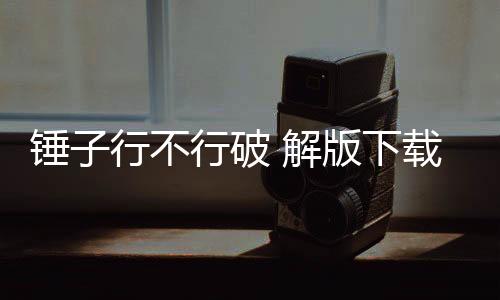 锤子行不行破 解版下载 1.0.0.4