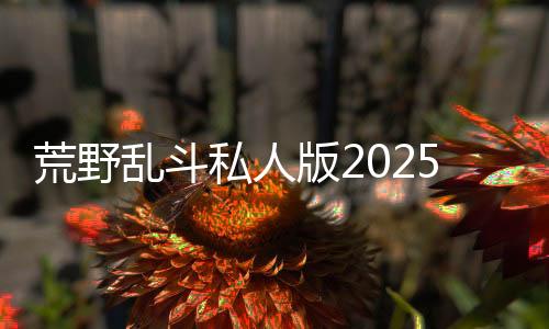 荒野乱斗私人版2025(Null’s Brawl)