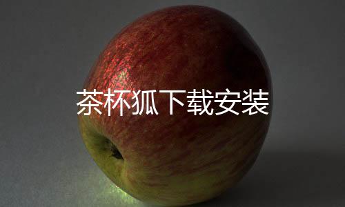 茶杯狐下载安装