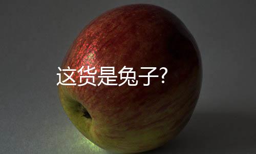 这货是兔子?