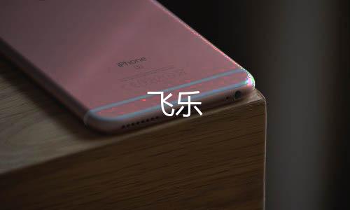 飞乐