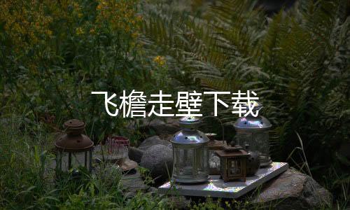 飞檐走壁下载