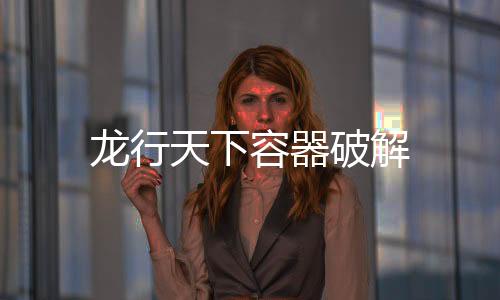 龙行天下容器破解