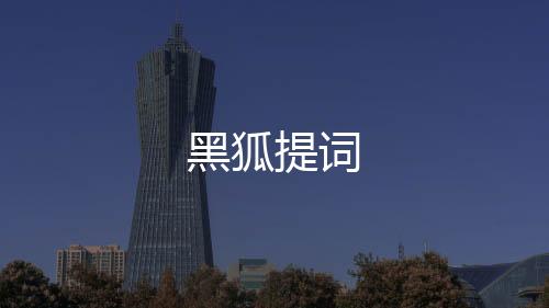 黑狐提词
