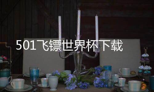 501飞镖世界杯下载