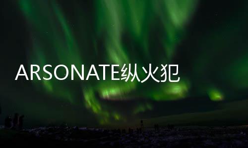 ARSONATE纵火犯卡牌
