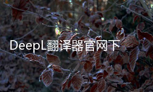 DeepL翻译器官网下载 2.2