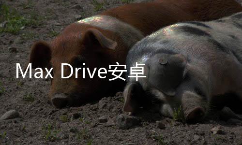 Max Drive安卓版