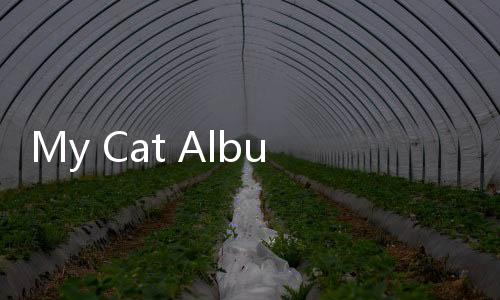 My Cat Album – Sticker Book下载