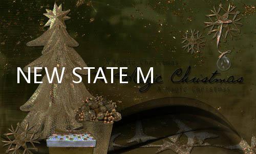 NEW STATE Mobile绝地求生2未来之役