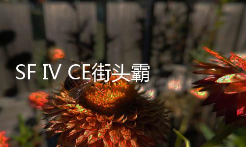 SF IV CE街头霸王4冠军版游戏安卓版