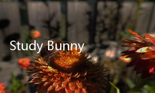 Study Bunny中文版