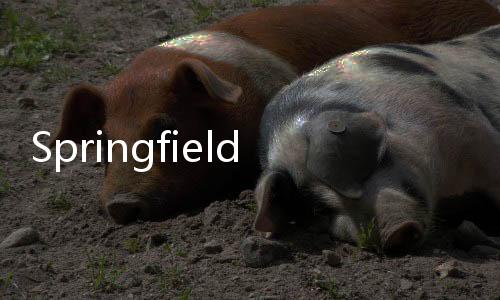 Springfield下载
