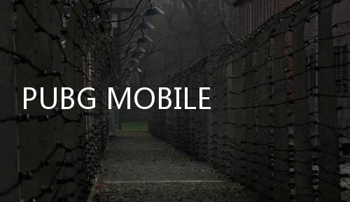 PUBG MOBILE国际服兼容包手游