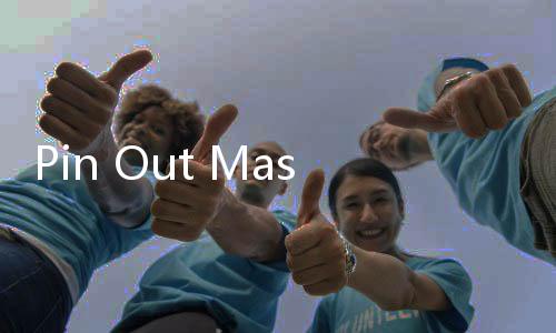 Pin Out Master游戏