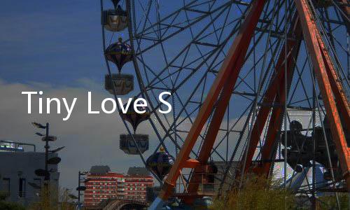Tiny Love Story安卓版