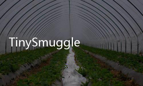 TinySmugglerRemake手机游戏