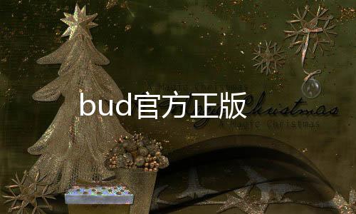 bud官方正版
