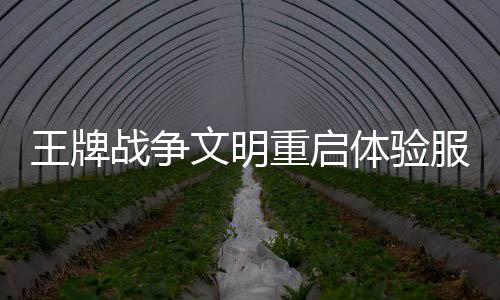 王牌战争文明重启体验服