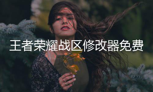 王者荣耀战区修改器免费