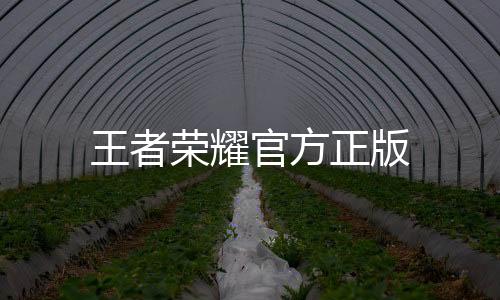 香肠派对安卓版