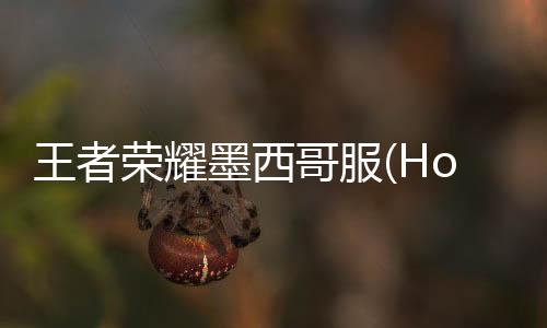 王者荣耀墨西哥服(Honor of Kings)
