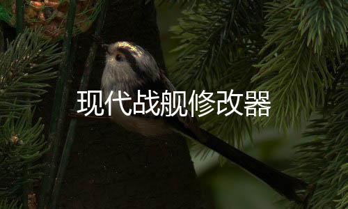 现代战舰修改器