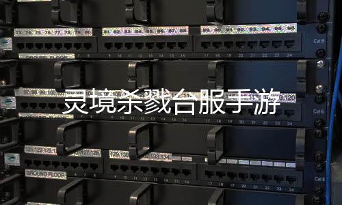 灵境杀戮台服手游