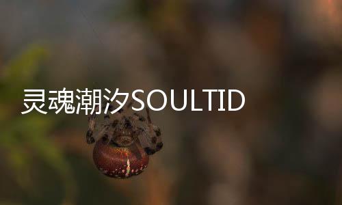 灵魂潮汐SOULTIDE熔心测试
