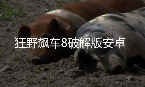 狂野飙车8破解版安卓
