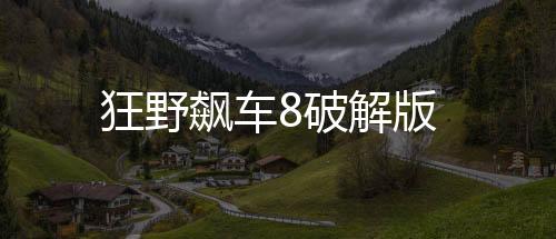 狂野飙车8破解版