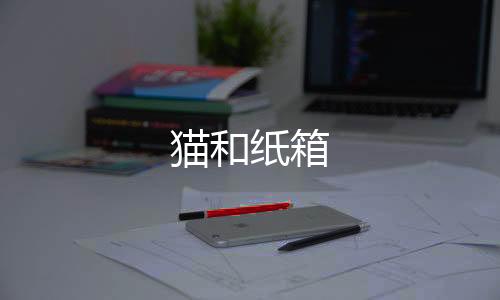 猫和纸箱