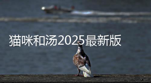 猫咪和汤2025最新版