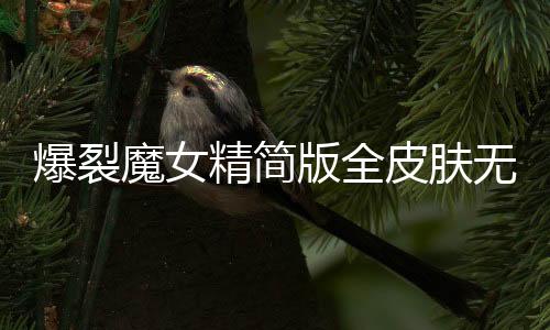 爆裂魔女精简版全皮肤无限钻石